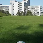 Отель Stadthotel 2*